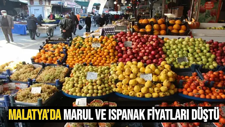 Malatya´da marul ve ıspanak fiyatları düştü