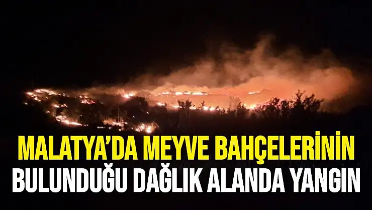 Malatya´da meyve bahçelerinin bulunduğu dağlık alanda yangın