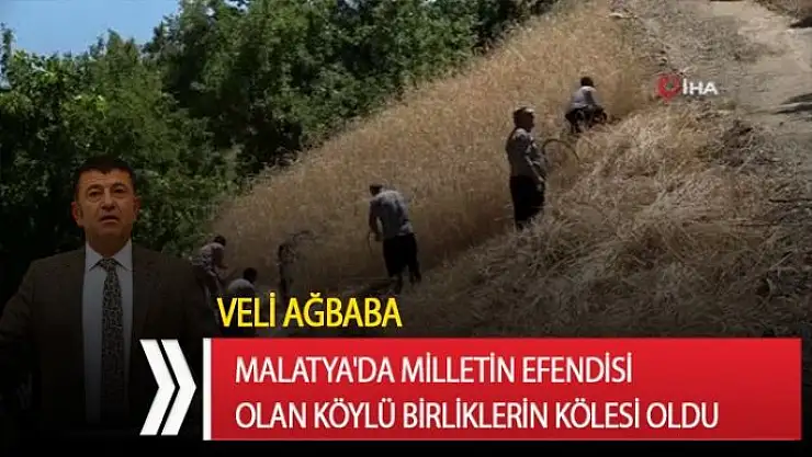 Malatya'da milletin efendisi olan köylü Birliklerin kölesi oldu