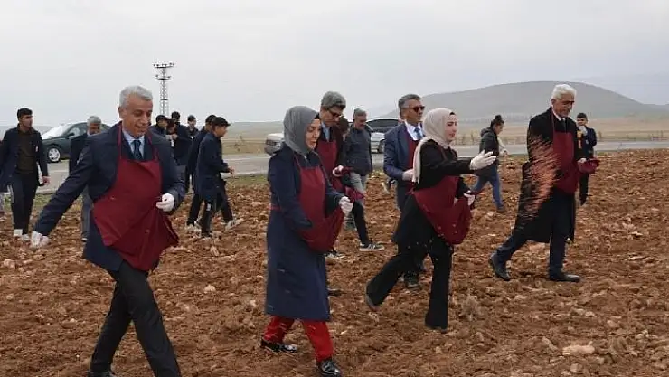 'Malatya´da öğrenciler buğday ekimi yaptı'
