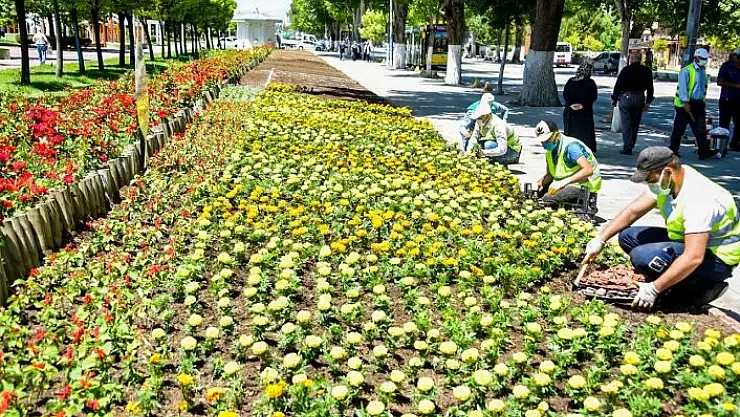 'Malatya´da parklar çiçeklerle süsleniyor'