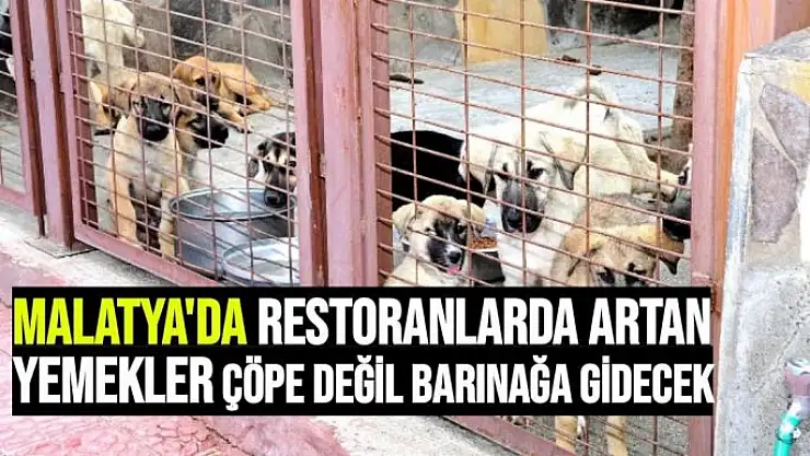 Malatya'da Restoranlarda artan yemekler çöpe değil barınağa gidecek