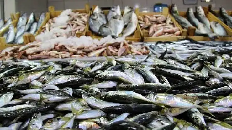 Malatya´da Su ürünleri satanlara sıkı takip