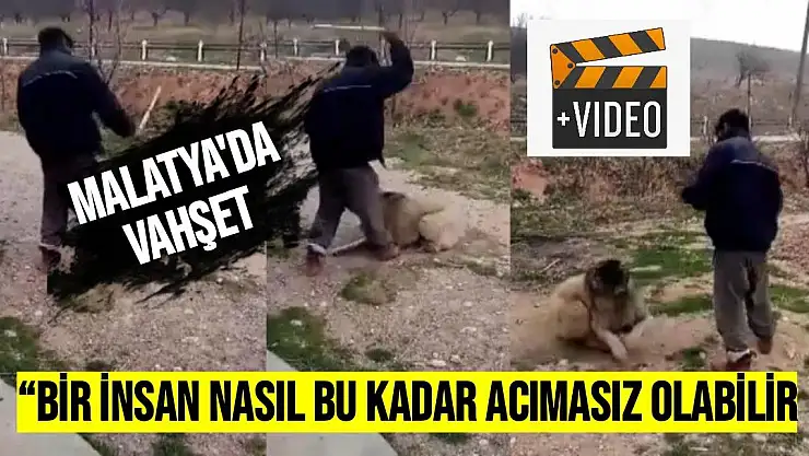 Malatya'da Vahşet 