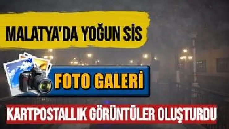 Malatya´da yoğun sis kartpostallık görüntüler oluşturdu