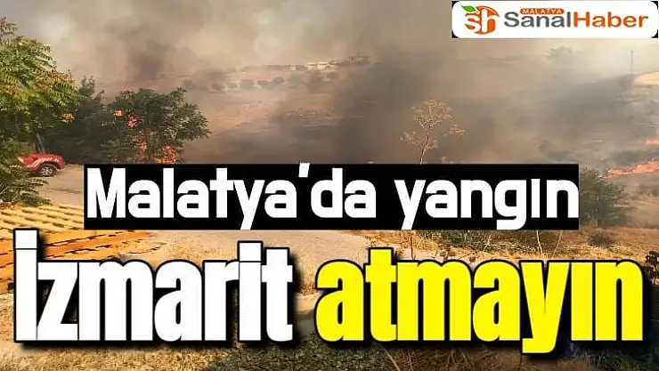 Malatya'da yol kenarına atılan sigara izmariti yangın çıkardı