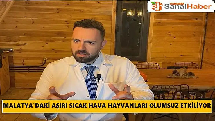 Malatya'daki Aşırı sıcak hava hayvanları olumsuz etkiliyor