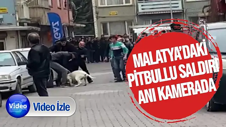Malatya´daki pitbullu saldırı anı kamerada