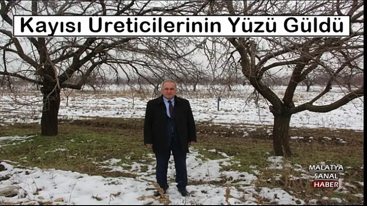 Kayısı Üreticilerinin Yüzü Güldü