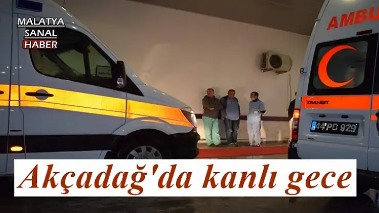 Akçadağ'da kanlı gece