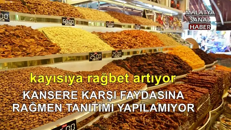 KANSERE KARŞI FAYDASINA RAĞMEN TANITIMI YAPILAMIYOR