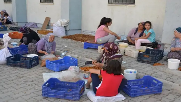 Kayısıda patik dönemi başladı