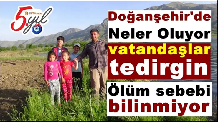 Doğanşehir'de Neler Oluyor