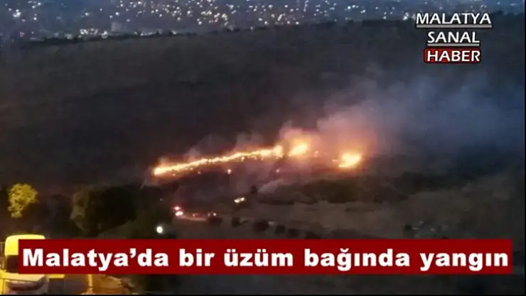 Malatya´da bir üzüm bağında yangın