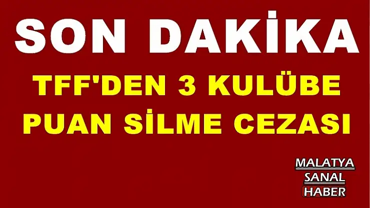 TFF'den 3 kulübe puan silme cezası