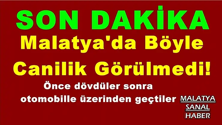 Malatya'da Böyle  Canilik Görülmedi!