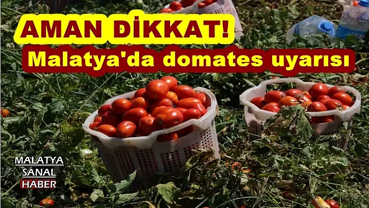 Malatya'da domates uyarısı