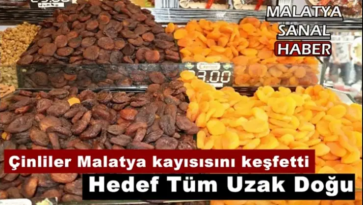 Çinliler Malatya kayısısını keşfetti