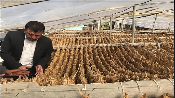 Ağbaba, Bu bir siyasi değil ekmek parası