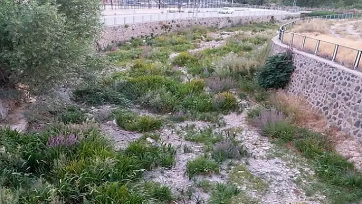 Aşırı sıcaklar Tohma Çayı'nı kuruttu