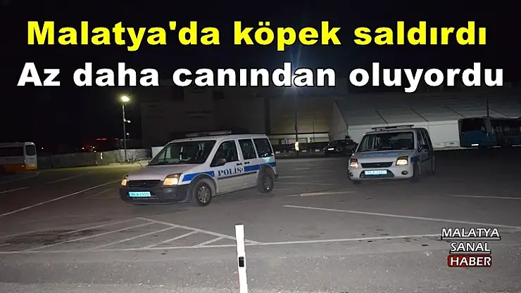 Malatya'da köpek saldırdı