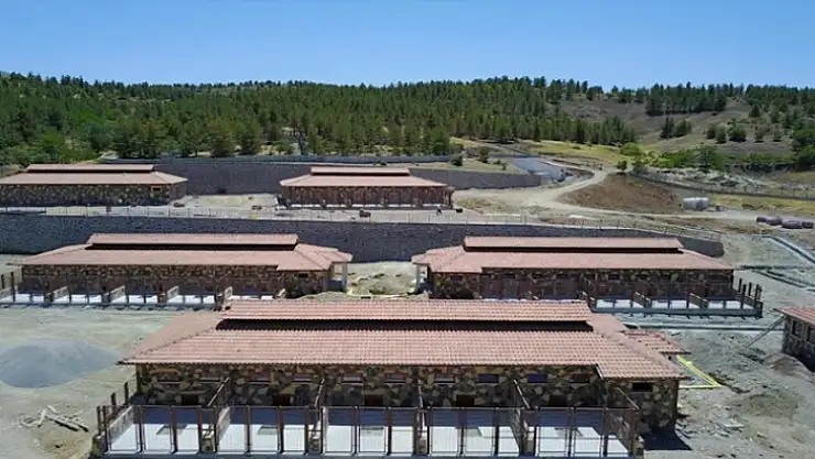 Büyükşehirden sokak hayvanları için doğal yaşam alanı