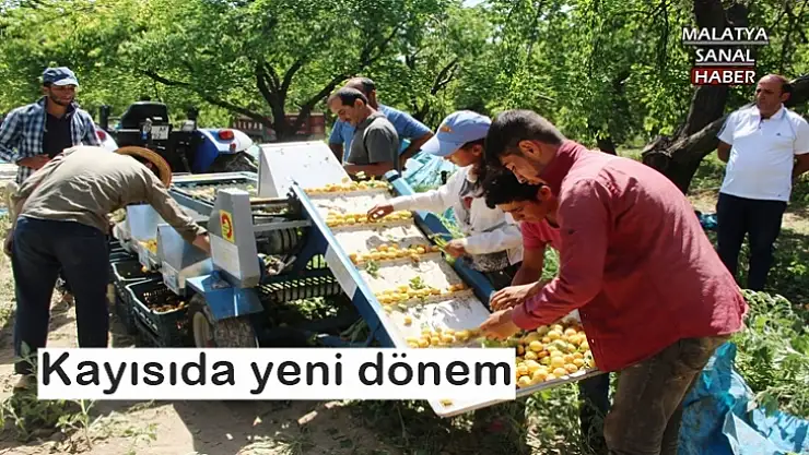 Kayısıda yeni dönem