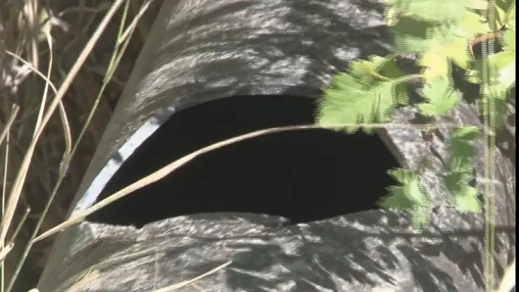 Konaklılardan kanalizasyon isyanı