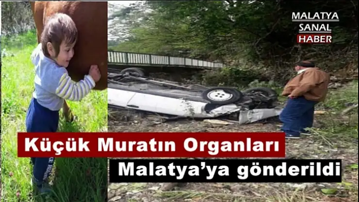 Küçük Muratın Organları Malatya´ya gönderildi