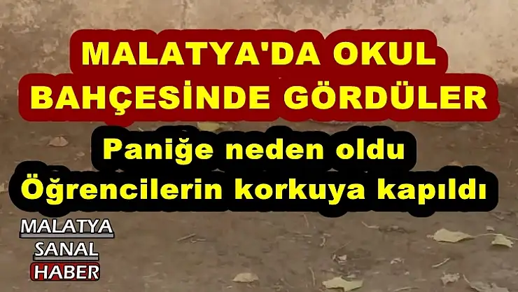 Malatya'da Okul Bahçesinde Gördüler