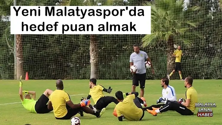Yeni Malatyaspor'da hedef puan almak