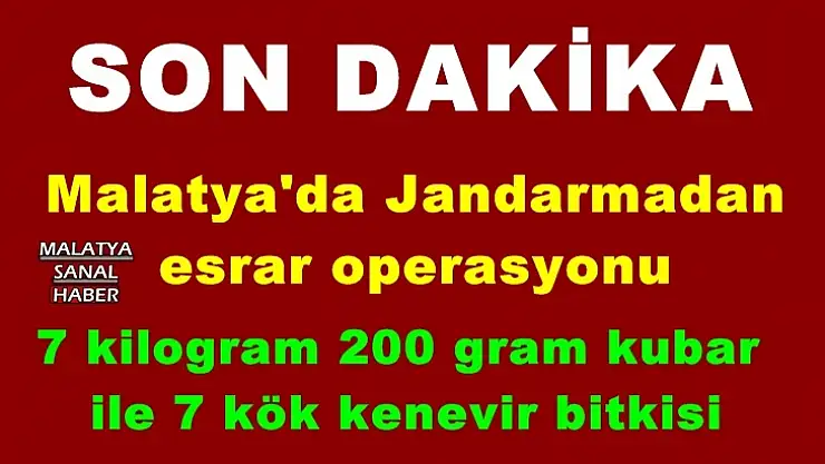 Malatya'da Jandarmadan  esrar operasyonu