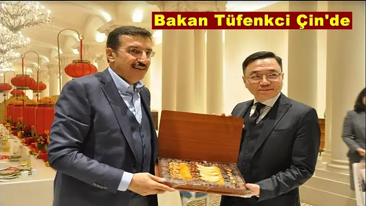 Bakan Tüfenkci Çin'de
