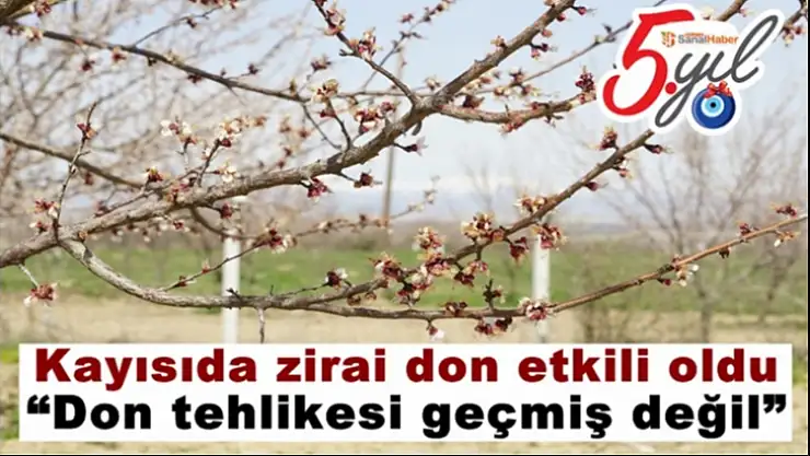 Kayısıda zirai donun etkili olduğu yerler
