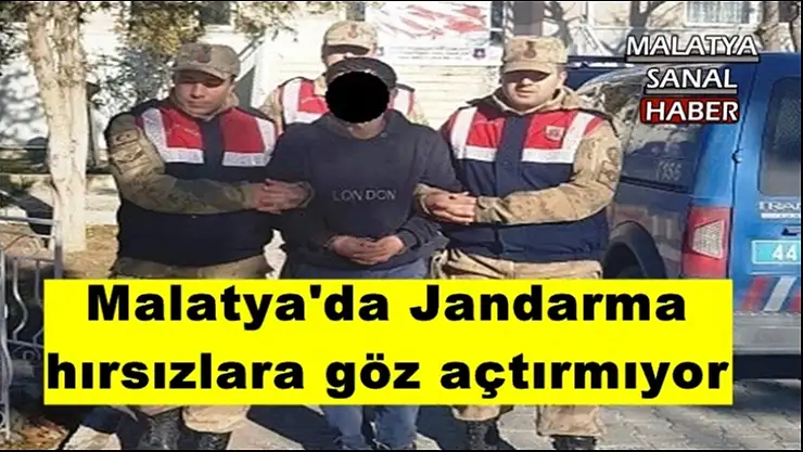 Malatya'da Jandarma, hırsızlara göz açtırmıyor