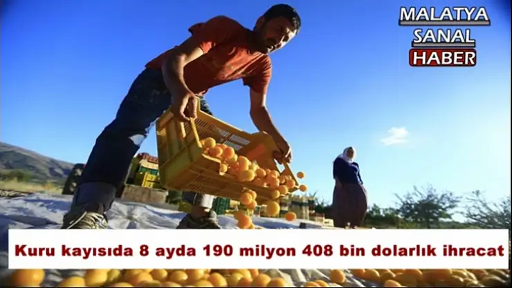 Kuru kayısıda 8 ayda 190 milyon 408 bin dolarlık ihracat