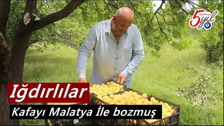 Iğdırlılar Kafayı Malatya İle bozmuş