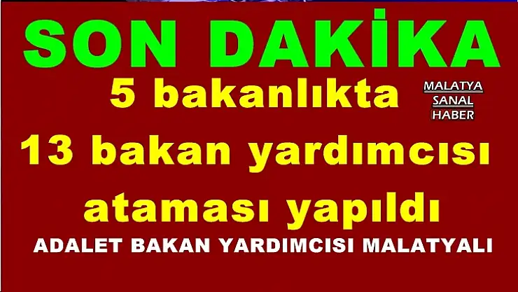 5 bakanlığa 13 yardımcı atandı