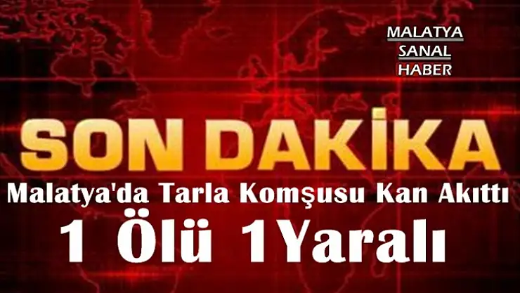 Malatya'da Tarla Komşusu Kan Akıttı 1 ölü 1 yaralı