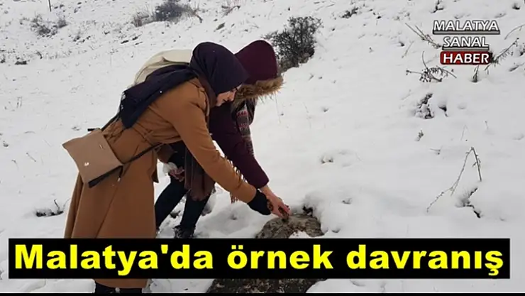 Malatya'da örnek davranış