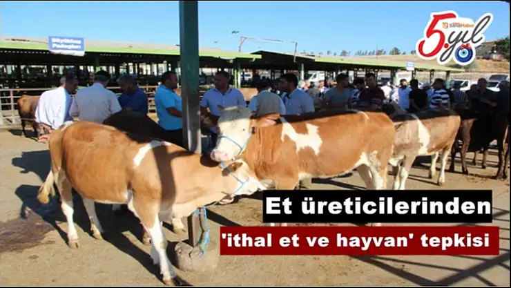 Malatya'da Et üreticilerinden ´ithal et ve hayvan´ tepkisi
