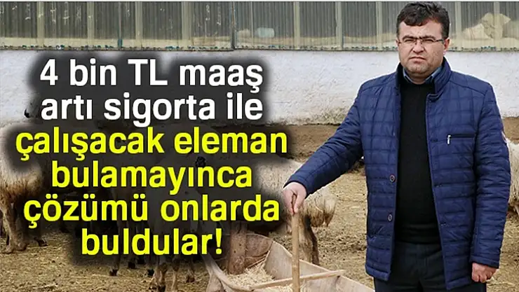 4 bin TL maaş ile çalışacak elaman bulamayınca