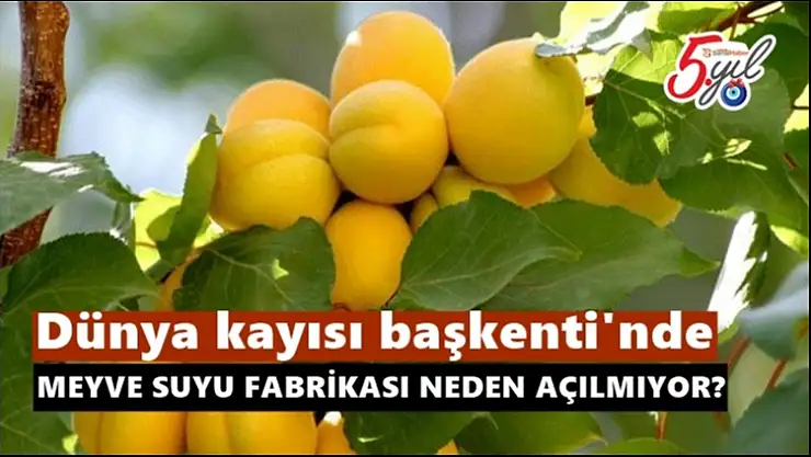 Meyve suyu fabrikası neden açılmıyor?