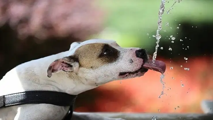 Meteorolojiden Malatya'ya  uyarı