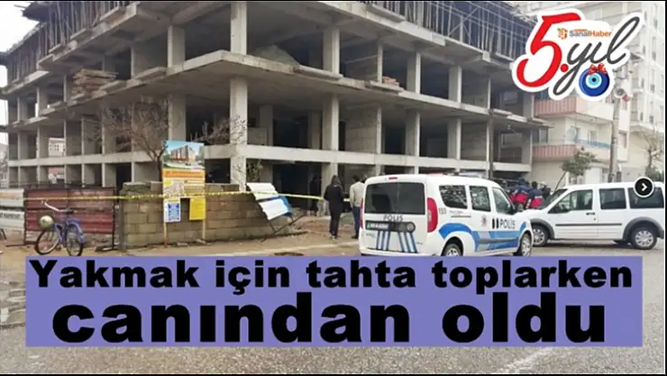 Yakmak için tahta toplarken canından oldu