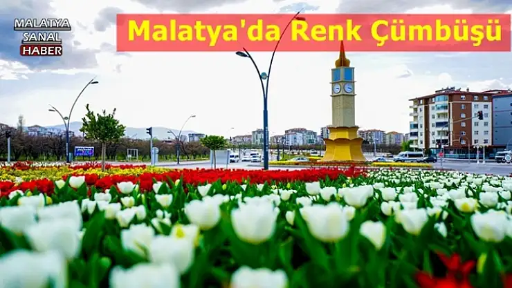Malatya lalelerle renkli bir görünüme kavuştu