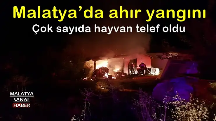 Malatya´da ahır yangını