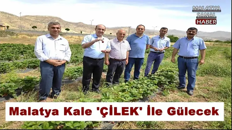 Malatya Kale  `Çilek´ ile gülecek