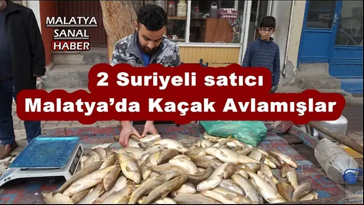 2 Suriyeli satıcı  Malatya´da Kaçak Avlamışlar