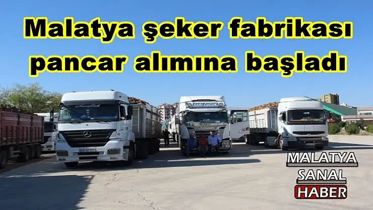 Malatya şeker fabrikası pancar alımına başladı
